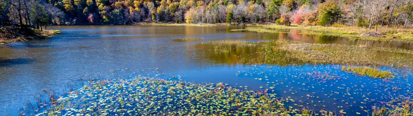 Wetherells Pond